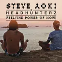 Cover of Feel (The Power Of Now)