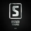 Transpose by Festuca - Euphoric Hardstyle cover art