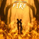 Cover of Fire