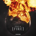 Cover of Fire