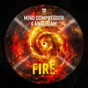 Cover of Fire