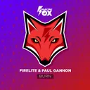Burn by Firelite, Paul Gannon - Euphoric Hardstyle cover art