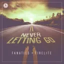 Never Letting Go by Firelite, Fanatics - Hardstyle cover art