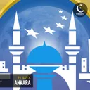 Ankara by Flawx - Hard Techno cover art