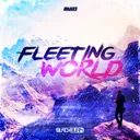 Cover of Fleeting World