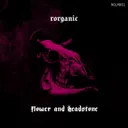 Cover of Flower and Headstone (feat. ROT) (Original mix)