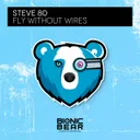 Cover of Fly Without Wires
