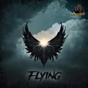 Cover of Flying