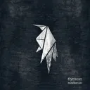 Randomize by Flymeon - Hard Techno cover art
