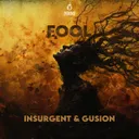 Cover of Fool