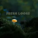 Cover of Fresh Loose
