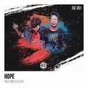 Hope by Frizzyboyz, DZTN - Hardstyle cover art