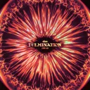 Cover of Fulmination