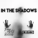 In the Shadows by Fury Of Wolves, B-GAK - Hardstyle cover art