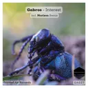 Interest by Gabros - Hard Techno cover art