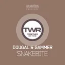 Snakebite - Original Mix by Gammer, Dougal - Happy Hardcore cover art