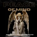 PEACE OF MIND by GEWOONRAVES, FHNX, 808Donkey - Hard Techno cover art