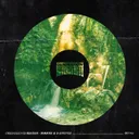Cover of Greensleeves Reborn