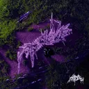 Bussin by Hades - Hard Techno cover art