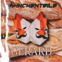 Gerard by HAEHNCHENTEIlE - Hardstyle cover art