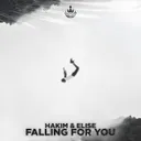 Falling for You by HAKIM, X-Hall, Elise - Hardstyle cover art