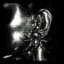 MOVE - Ultra Slowed by Hannes Knef, 7XTEEN, RENTALOVE - Hard Techno cover art