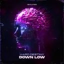 Down Low by Hard Destiny - Hardstyle cover art