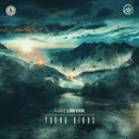 Young Birds by Hard Driver - Hardstyle cover art