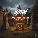 BDSM (Barley Doomed Sick Music) by HardTest - Hardstyle cover art