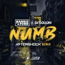 Numb - Aftershock Remix by Harris & Ford, DJ Gollum, Aftershock - Hardstyle cover art