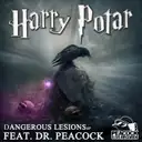 Dangerous Lesions - Original Mix by Harry Potar - Frenchcore cover art