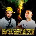 Quelques Grammes de finesse dans un monde de putes - Binary Asymmetrix Remix by Harry Potar, Binary Asymmetrix - Frenchcore cover art