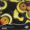 Spice by Hasse de Moor - Hardstyle cover art