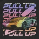 PULL UP by Haus of Panda, J. Slai, TYEGUYS - Hardcore cover art