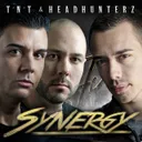 Synergy - Extended Version by Headhunterz, TNT - Hardstyle cover art