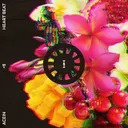 Cover of Heart Beat