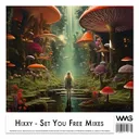 Set You Free - Radio Mix by Hixxy - Happy Hardcore cover art
