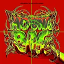Cover of Ho una Bag