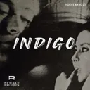 INDIGO by HOEHENANGST - Hard Techno cover art