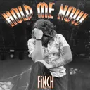 Cover of Hold Me Now