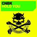 Cover of Hold You