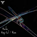 Cover of House - Original Mix
