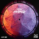 Cover of Hybrid