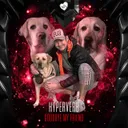Goodbye My Friend by Hyperverb - Hardcore cover art