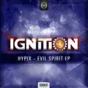 Madhouse - Original Mix by Hypix - Rawstyle cover art