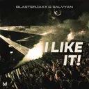 Cover of I LIKE IT!