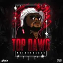Top Dawg 2019 by Øien - Hardstyle cover art