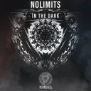 Cover of In the Dark