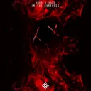 Cover of In the Darkness
