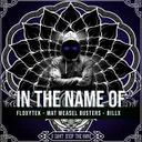 Cover of In the name of
